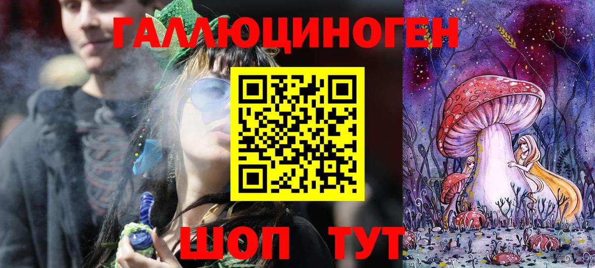 Галлюциногенные грибы GOLDEN TEACHER  купить наркотики сайты  Богородицк  Вход с VPN 