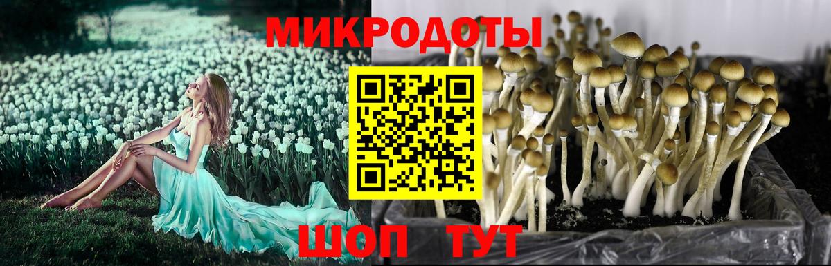 Галлюциногенные грибы Magic Shrooms Богородицк